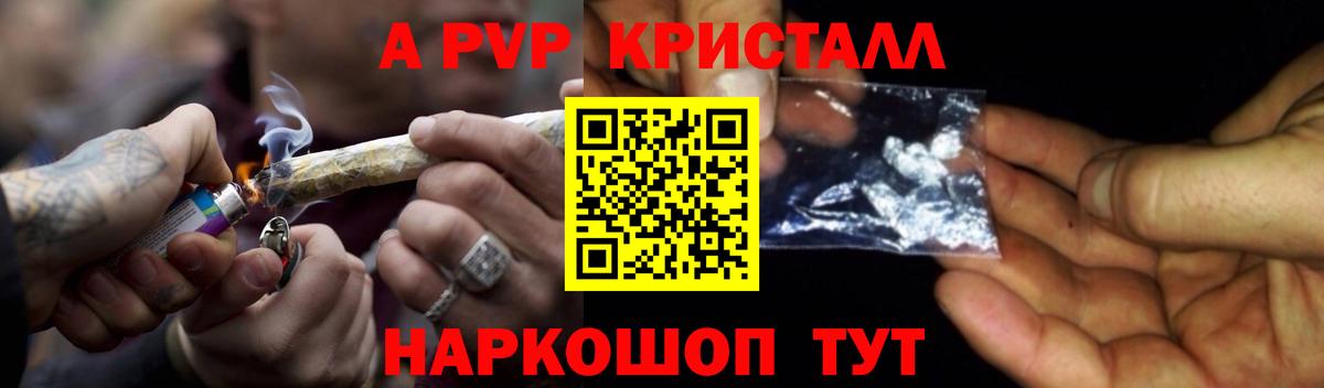 A PVP СК Мичуринск
