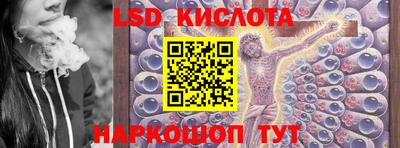 молекула духа Будённовск