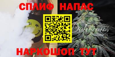 молекула духа Будённовск