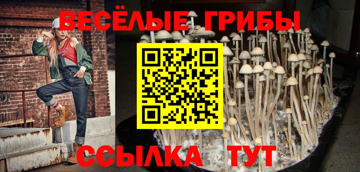 Галлюциногенные грибы ЛСД  Вход с VPN  Мичуринск  Галлюциногенные грибы MAGIC MUSHROOMS 