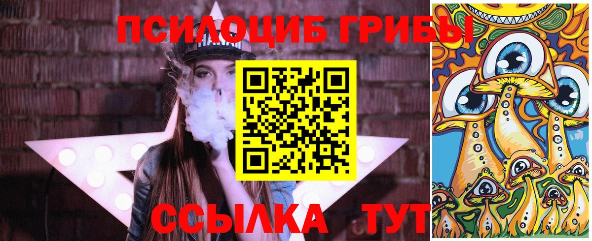 Галлюциногенные грибы мухоморы Мичуринск